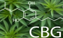 cbg