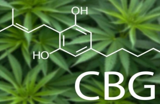 cbg cbg