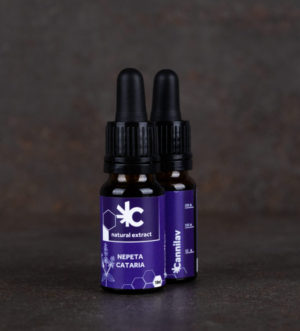 Natural extract - Nepeta Cataria